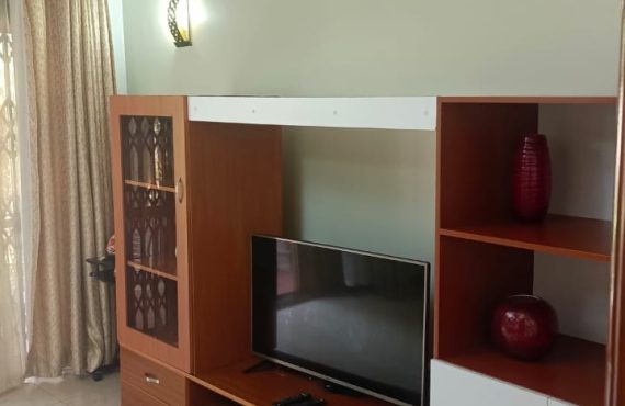 Furnished 3-bedroom apartment for rent in Naguru