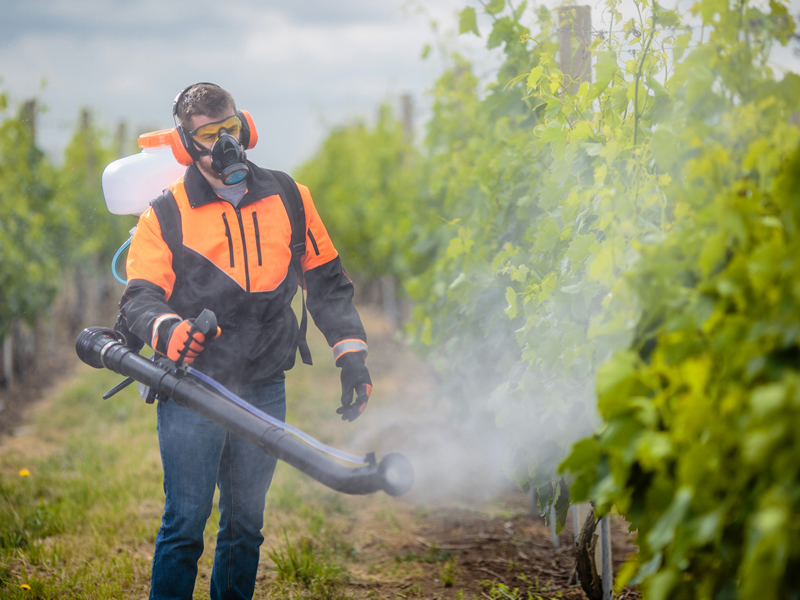 Fumigation